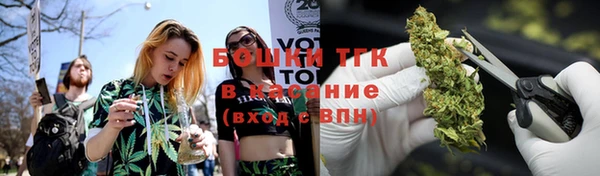 амф Протвино