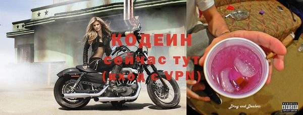 амф Протвино